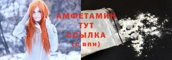 прущие грибы Новозыбков