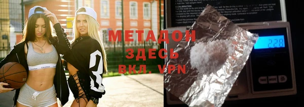 прущие грибы Новозыбков