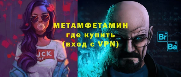 прущие грибы Новозыбков