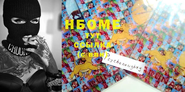прущие грибы Новозыбков