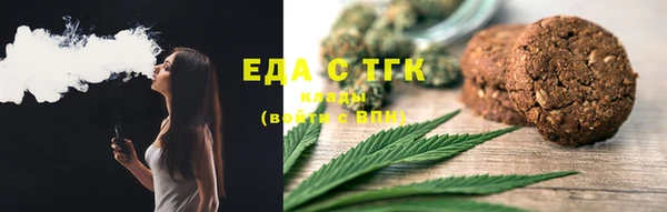 прущие грибы Новозыбков