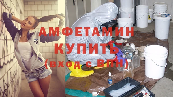 прущие грибы Новозыбков