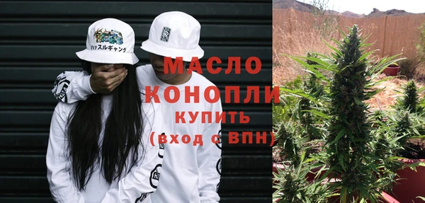 прущие грибы Новозыбков
