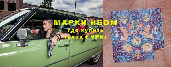 прущие грибы Новозыбков