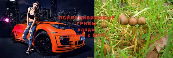 винт Ладушкин