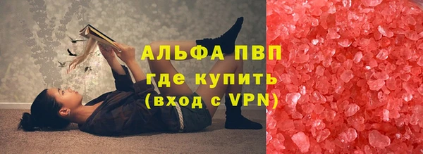 прущие грибы Новозыбков