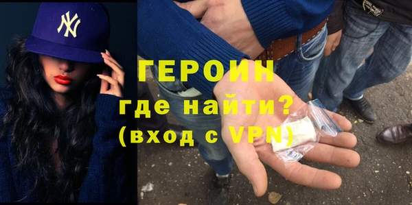 прущие грибы Новозыбков