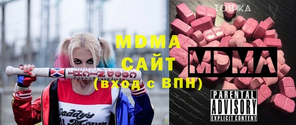 прущие грибы Новозыбков