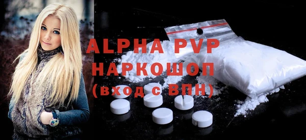 прущие грибы Новозыбков